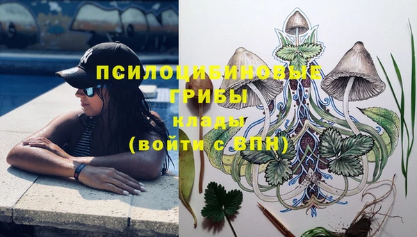 а пвп мука Верхний Тагил