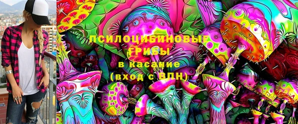 твердый Верея