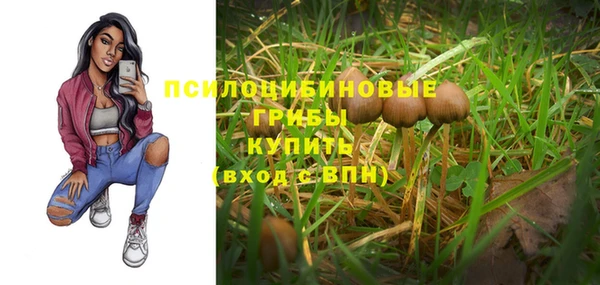 а пвп мука Верхний Тагил