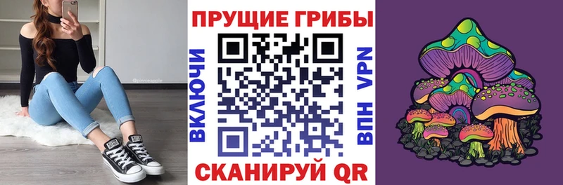 продажа наркотиков  Раменское  Галлюциногенные грибы Psilocybe 